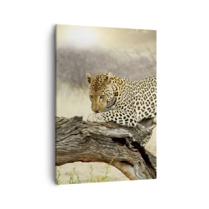 Obraz na plátne - Chodím vlastnými cestami - 50x70 cm