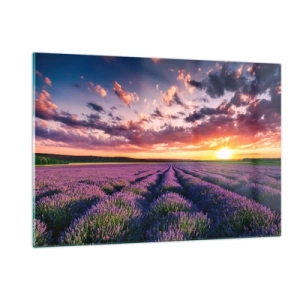 Obraz na skle - Levanduľový svet - 120x80 cm