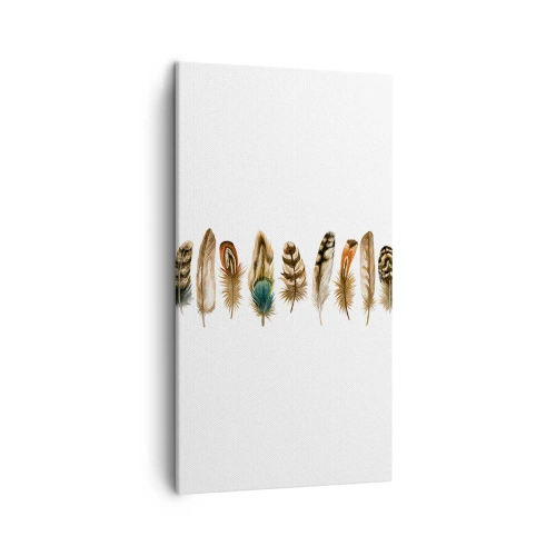 Obraz na plátne - Operená variácia - 45x80 cm