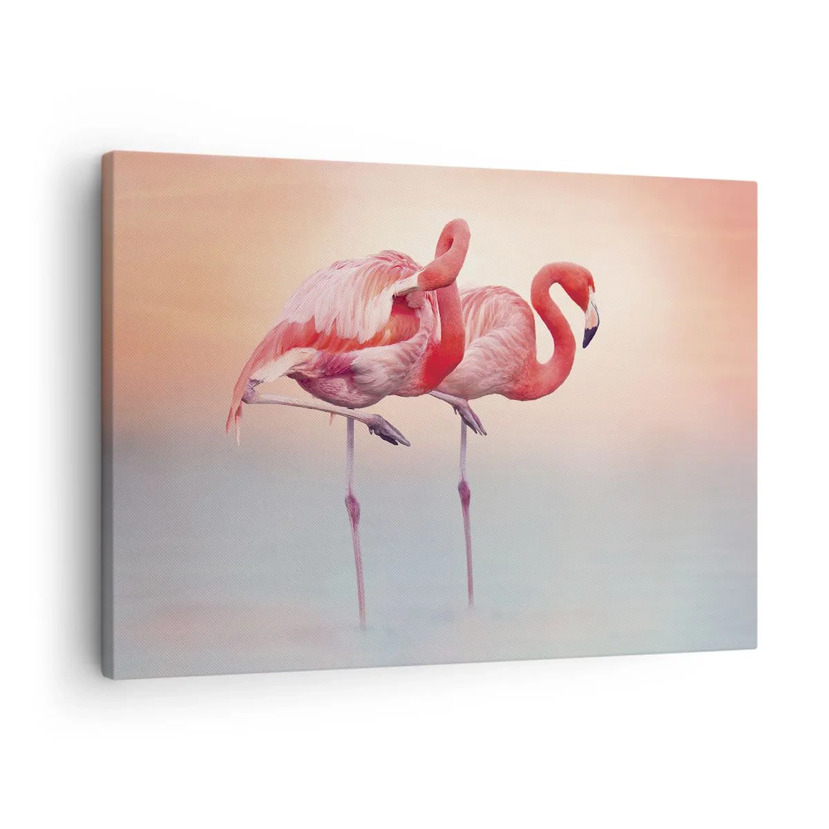 Obraz na plátne - Plameniaky v jemných pastelových farbách na vodnom pozadí - 70x50cm - Vo farbe zapadajúceho slnka - Moderná nástenná dekorácia do obývacej izby a spálne ARTTOR