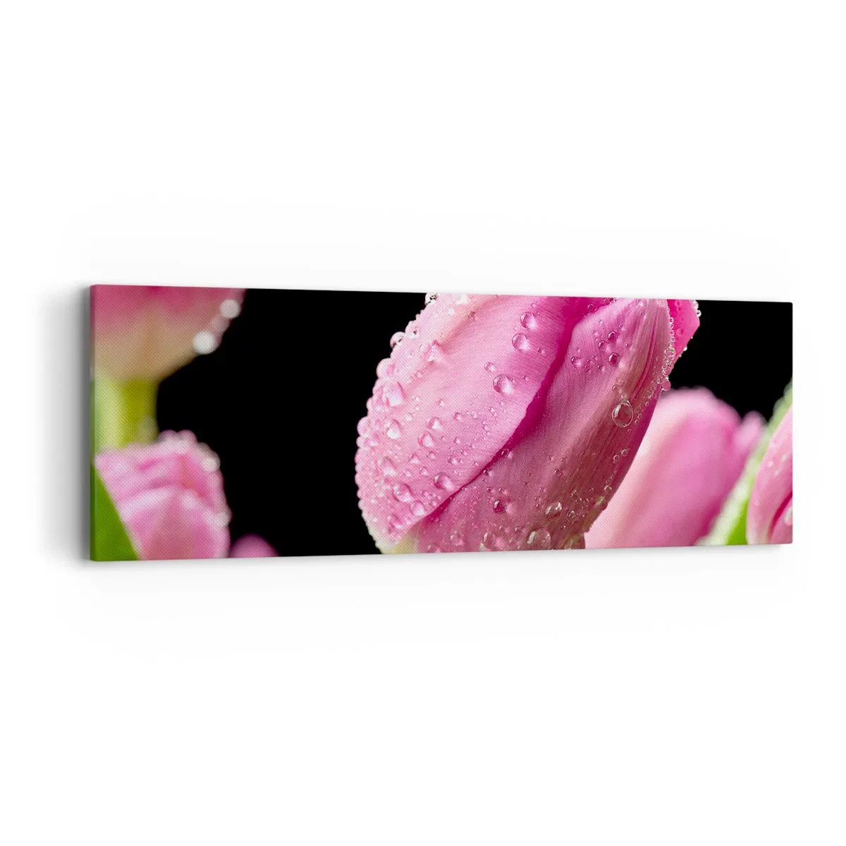 Obraz na plátne - Ľaliový sen v rose - 90x30 cm