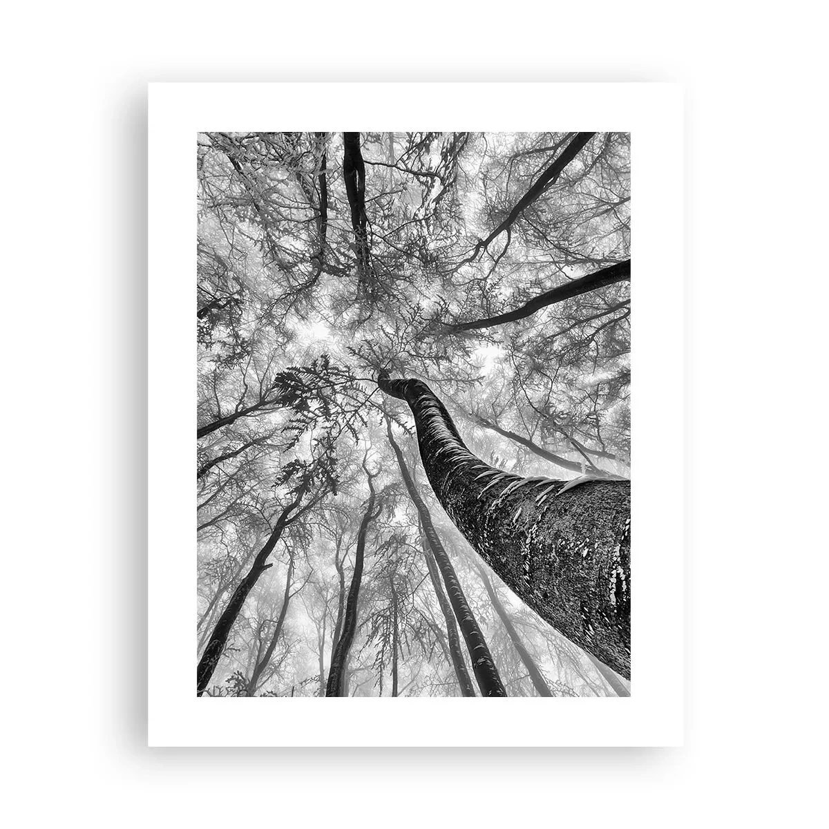 Plagát - Závod ku svetlu - 40x50 cm