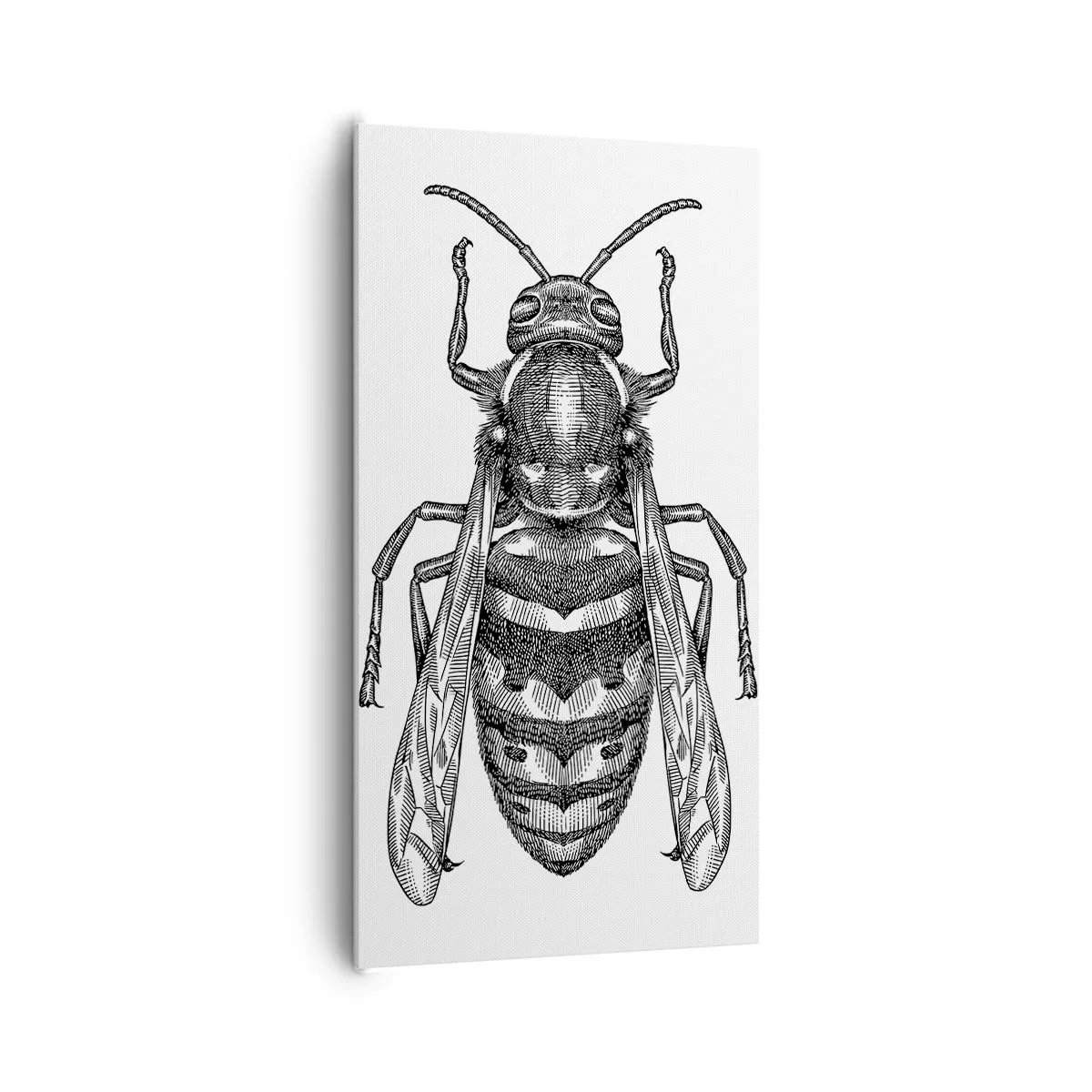 Obraz na plátne - Z hmyzej planéty - 65x120 cm