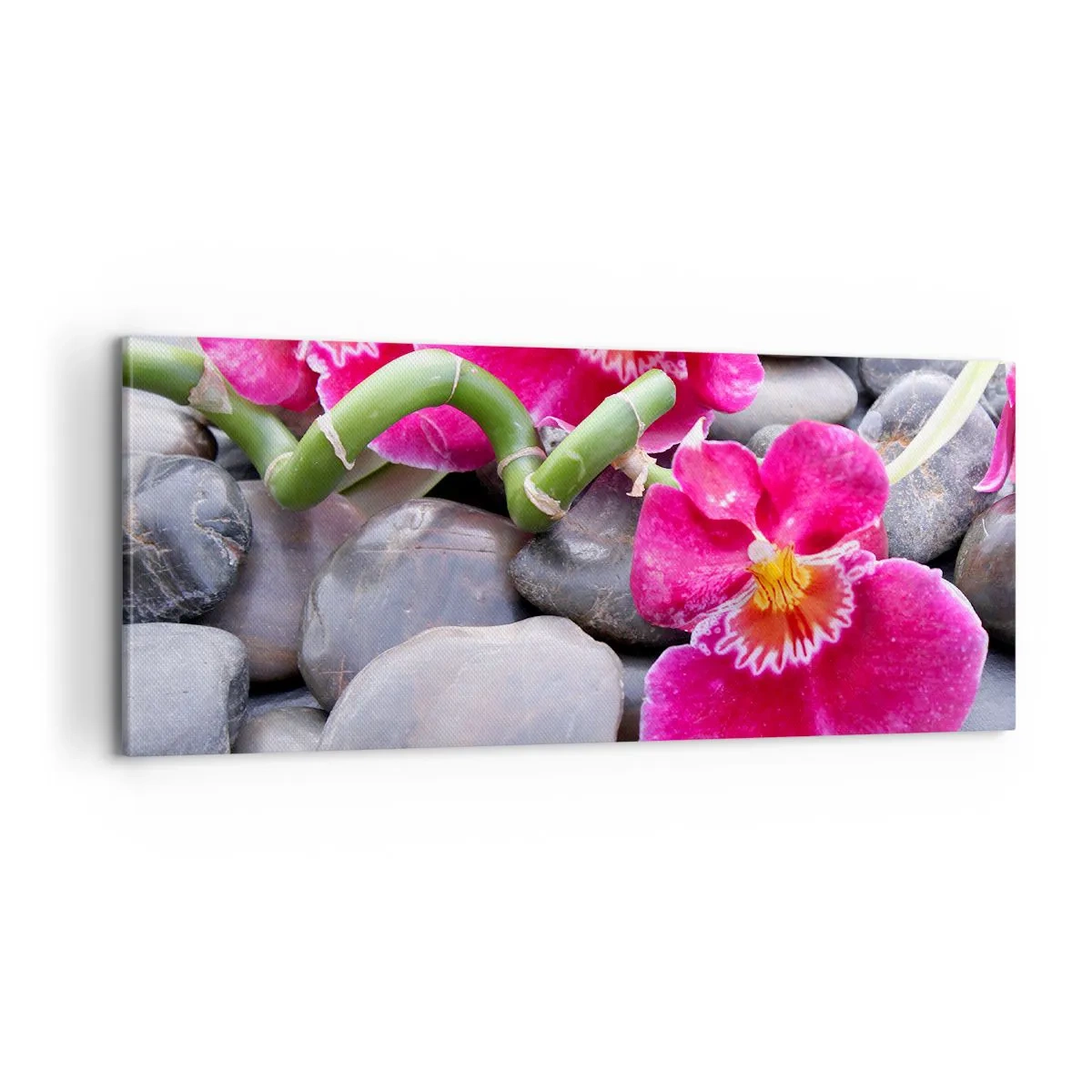 Obraz na plátne - Chlad a žiara - 100x40 cm