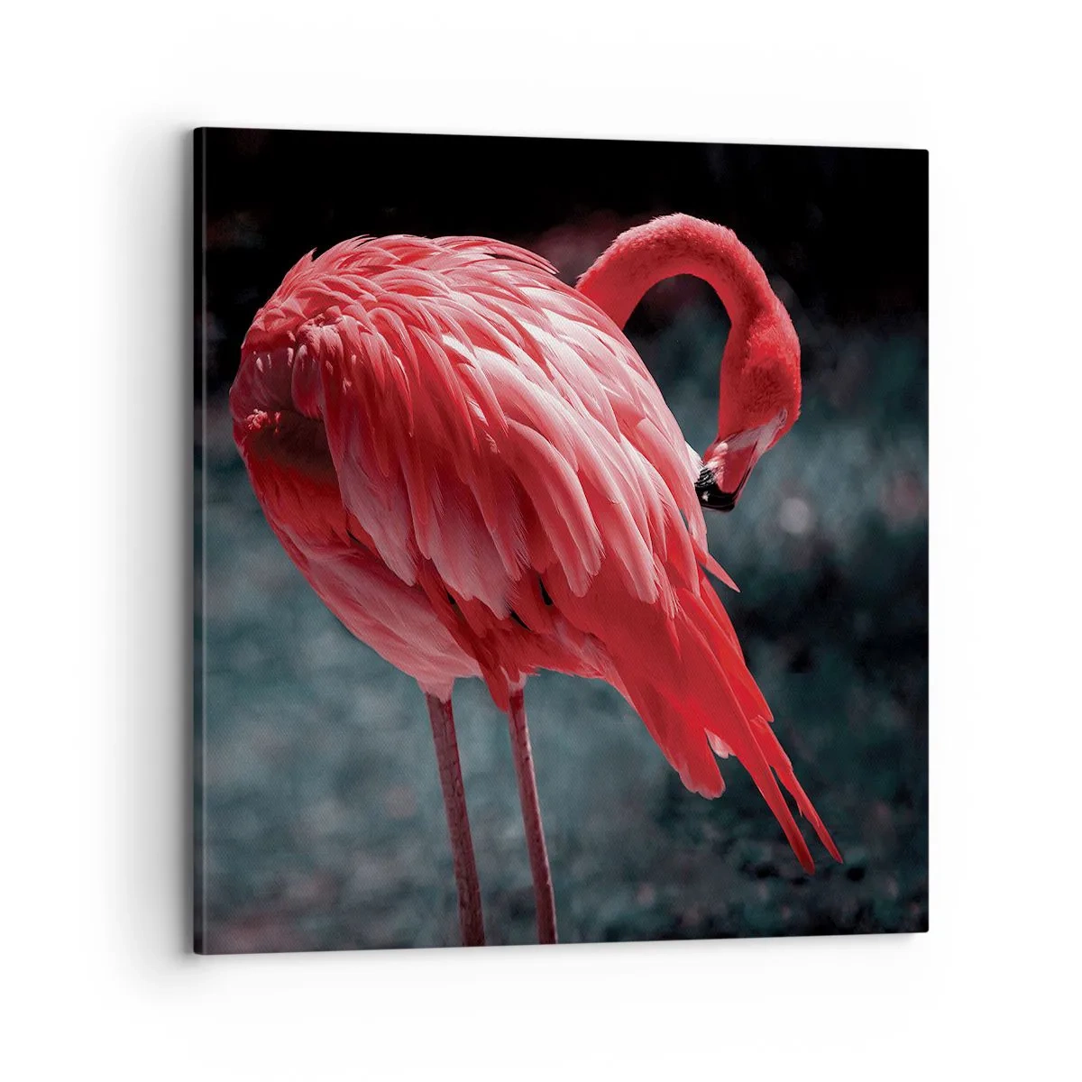 Obraz na plátne - Karmínová báseň prírody - 70x70 cm