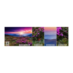 Vzorka fototapety Premium Sand - Zavoňali svieže púčiky byliniek z obilných polí - Krajina, hory, Kvety - 100x30 cm