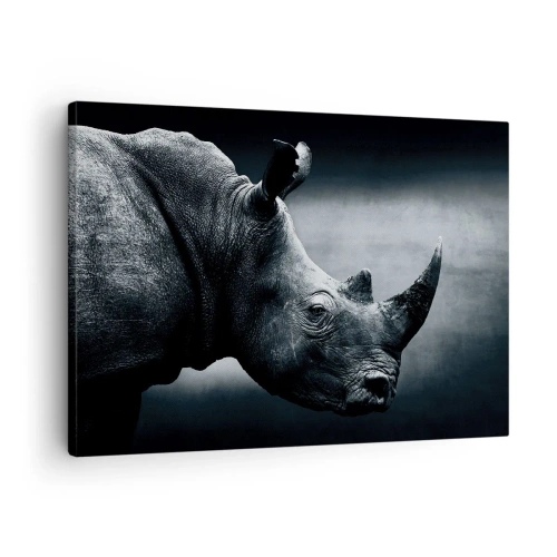 Obraz na plátne - Čiernobiely portrét nosorožca na tmavom pozadí - 70x50cm - Pravý profil - Moderná nástenná dekorácia do obývacej izby a spálne ARTTOR