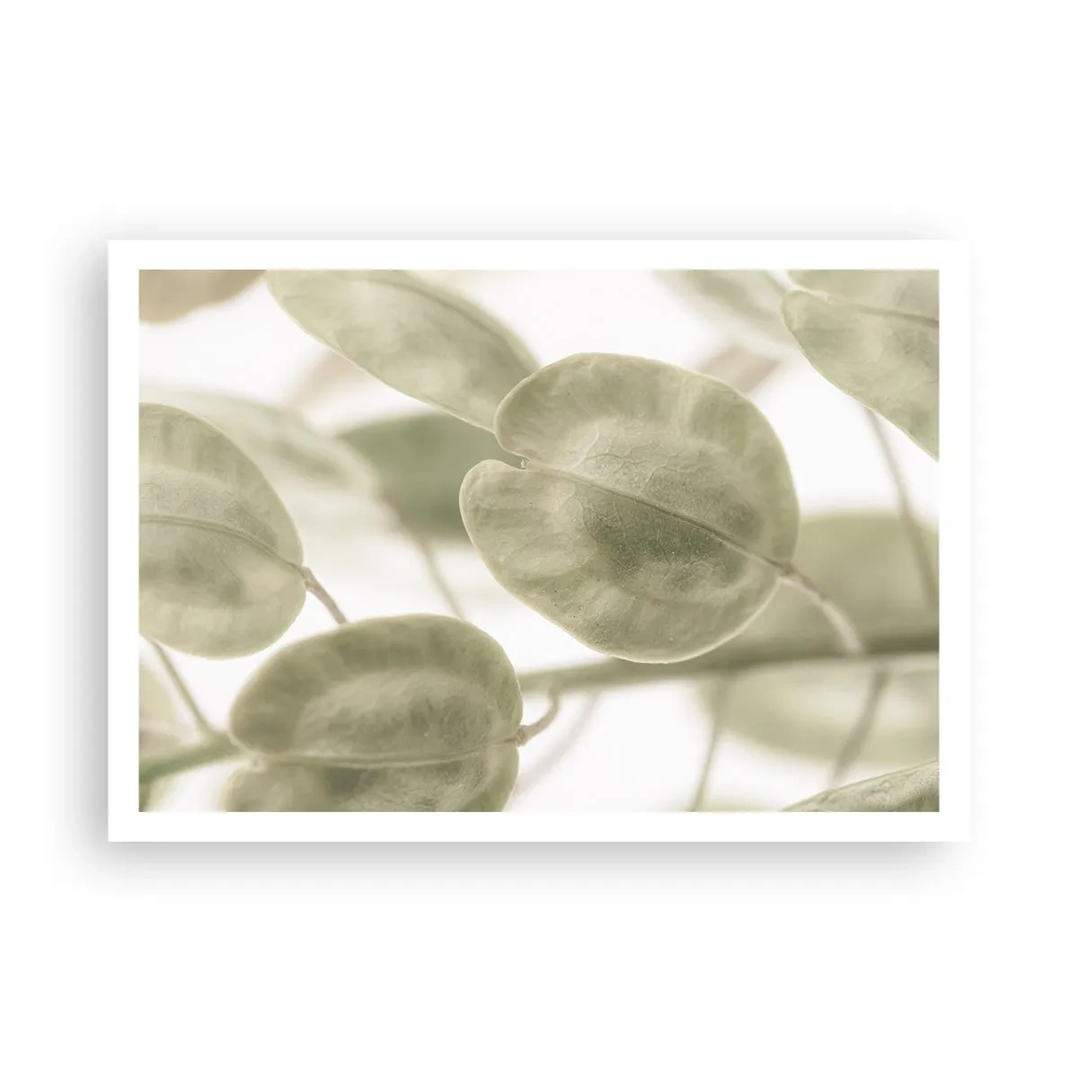 Plagát - Na začiatku bolo lístie… - 100x70 cm