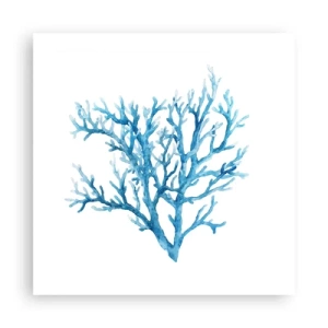 Plagát - Morský filigrán - 50x50 cm