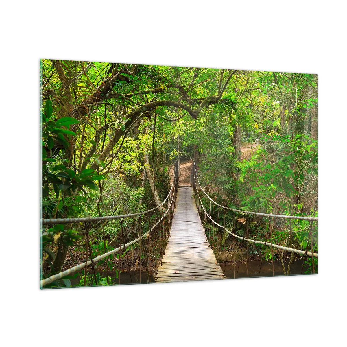 Obraz na skle - Lebo na záhrade rastú popínavé rastliny - 100x70 cm