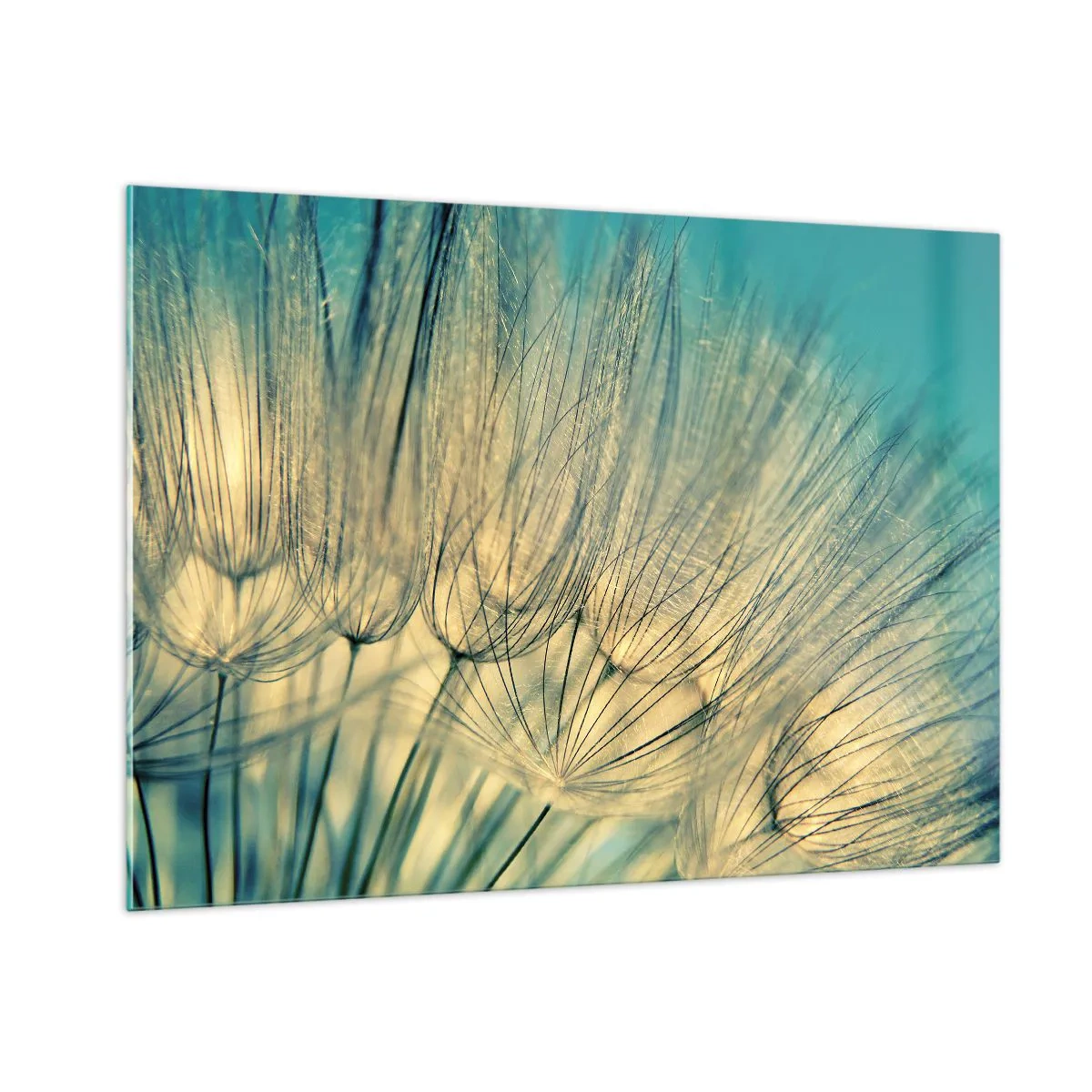 Obraz na skle - Čakanie na vietor - 100x70 cm