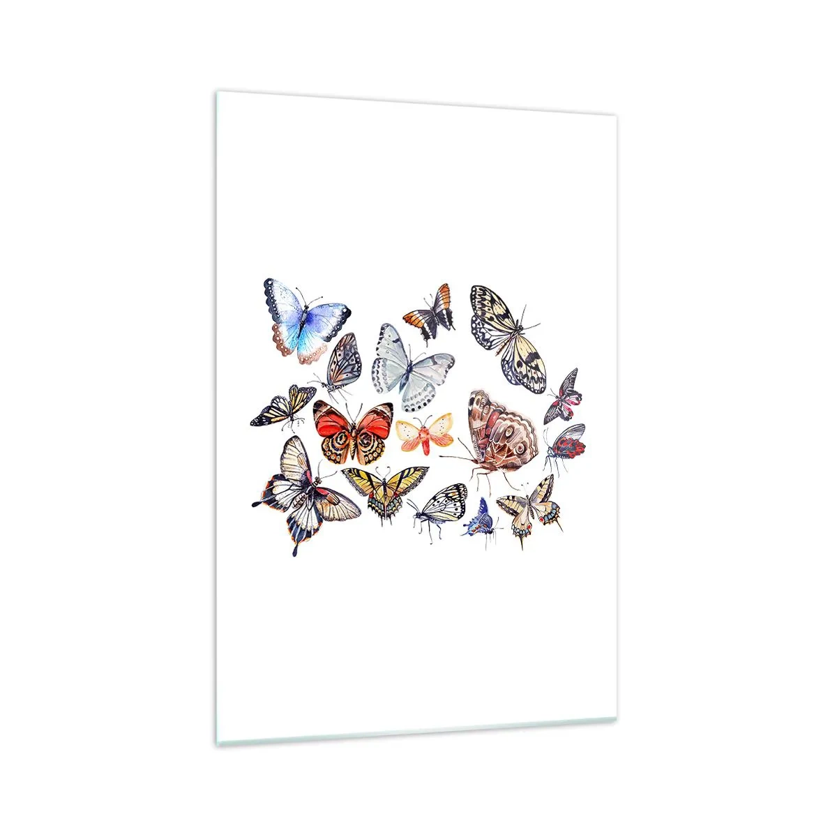 Obraz na skle - Čipkový, farebný roj - 70x100 cm