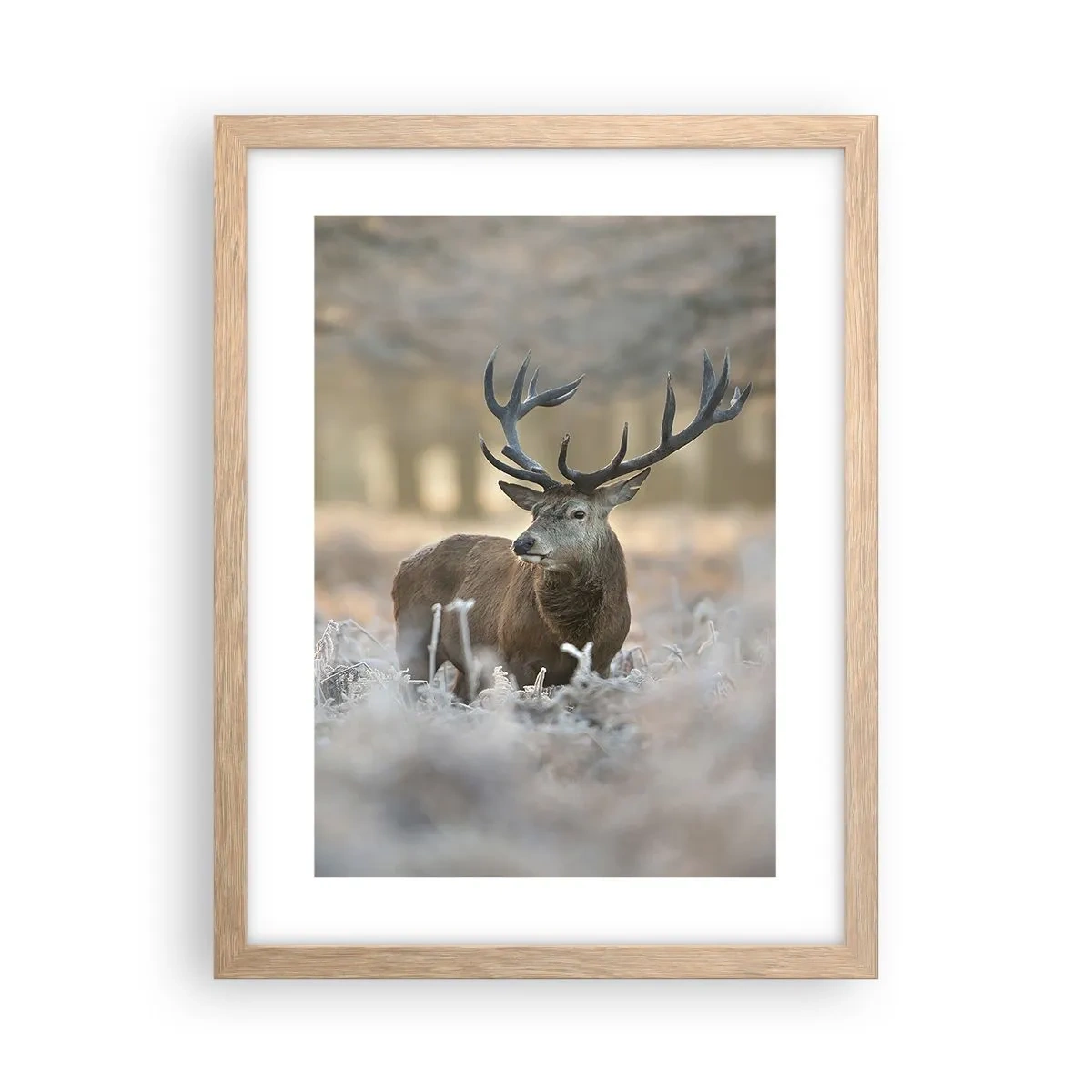 Plagát v ráme zo svetlého duba - Svieže ráno - 30x40 cm