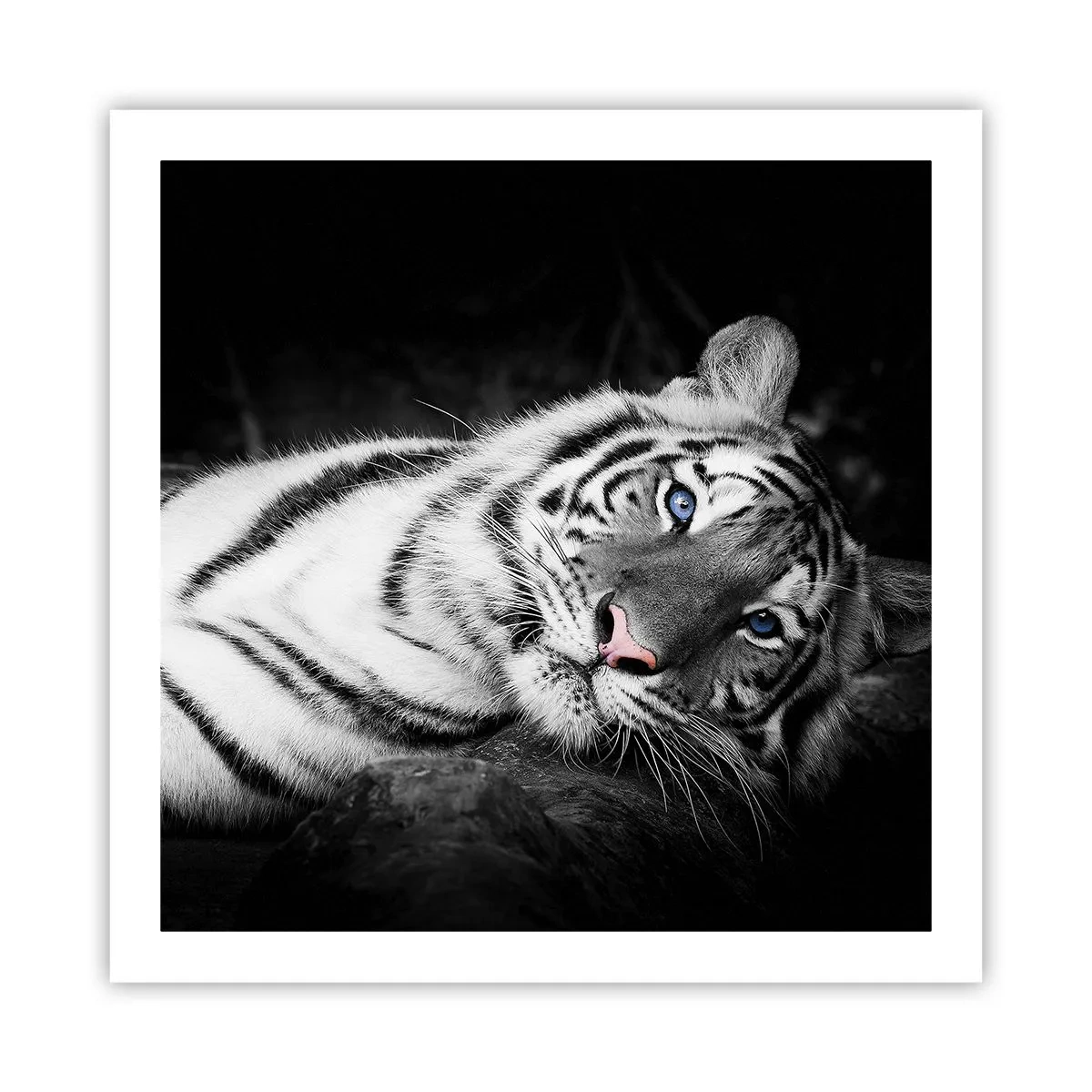 Plagát - Divočina a pokoj - 60x60 cm