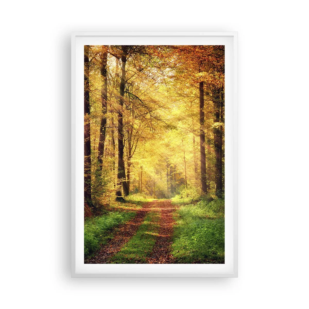 Plagát v bielom ráme - Lesno-zlaté ticho - 61x91 cm