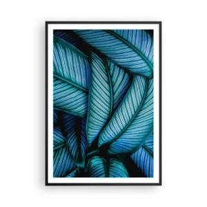 Plagát v čiernom ráme - Čiary života - 70x100 cm