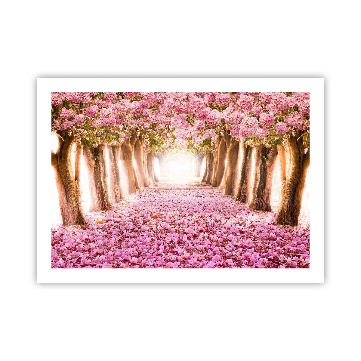 Plagát - Cesta do raja - 70x50 cm