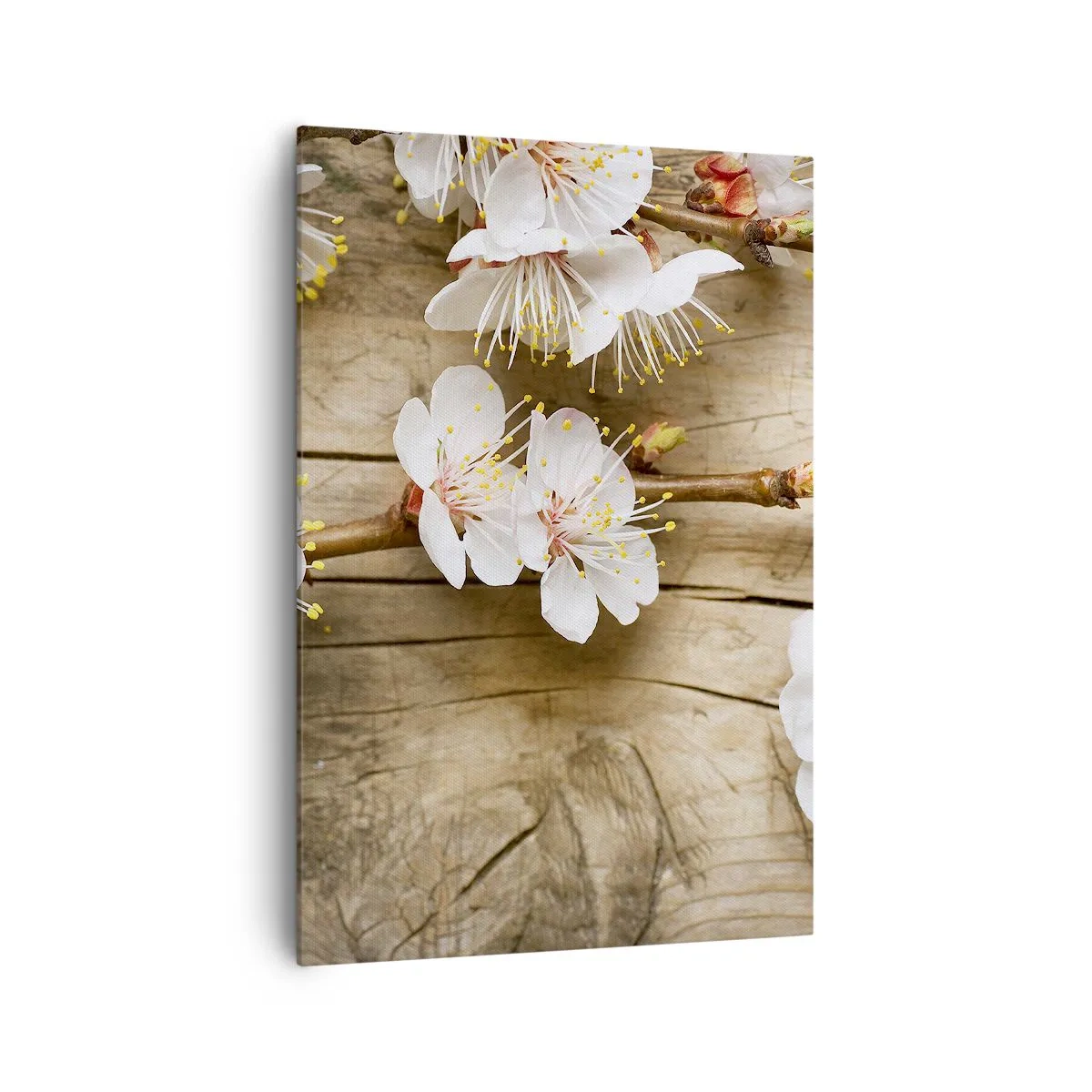 Obraz na plátne - A bola jar - 70x100 cm