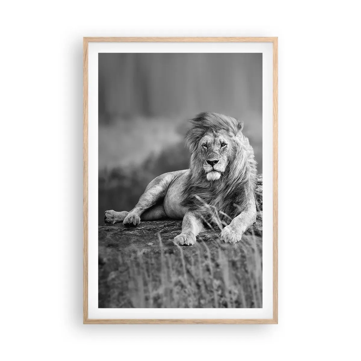 Plagát v ráme zo svetlého duba - Kráľovská siesta - 61x91 cm