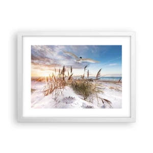 Plagát v bielom ráme - Vietor od mora - 40x30 cm