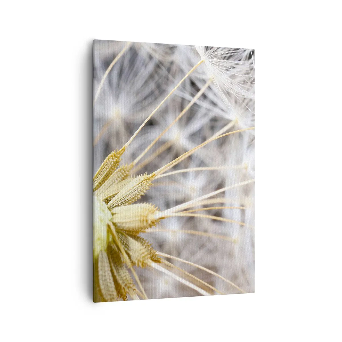 Obraz na plátne - Tesne pred odletom - 70x100 cm