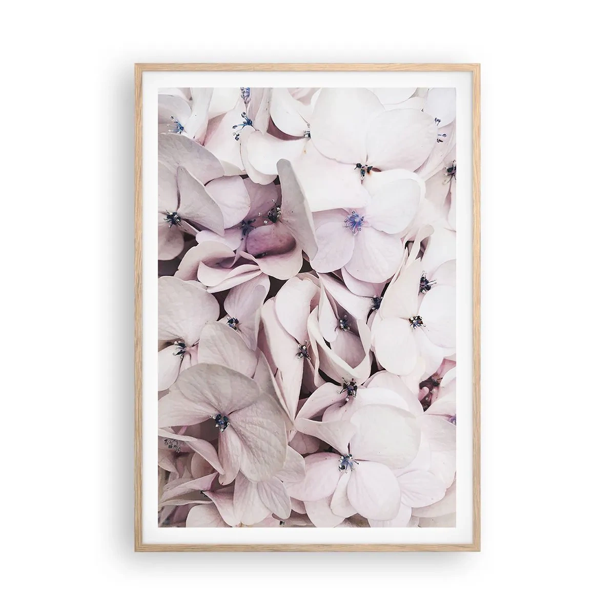 Plagát v ráme zo svetlého duba - V záplave kvetov - 70x100 cm