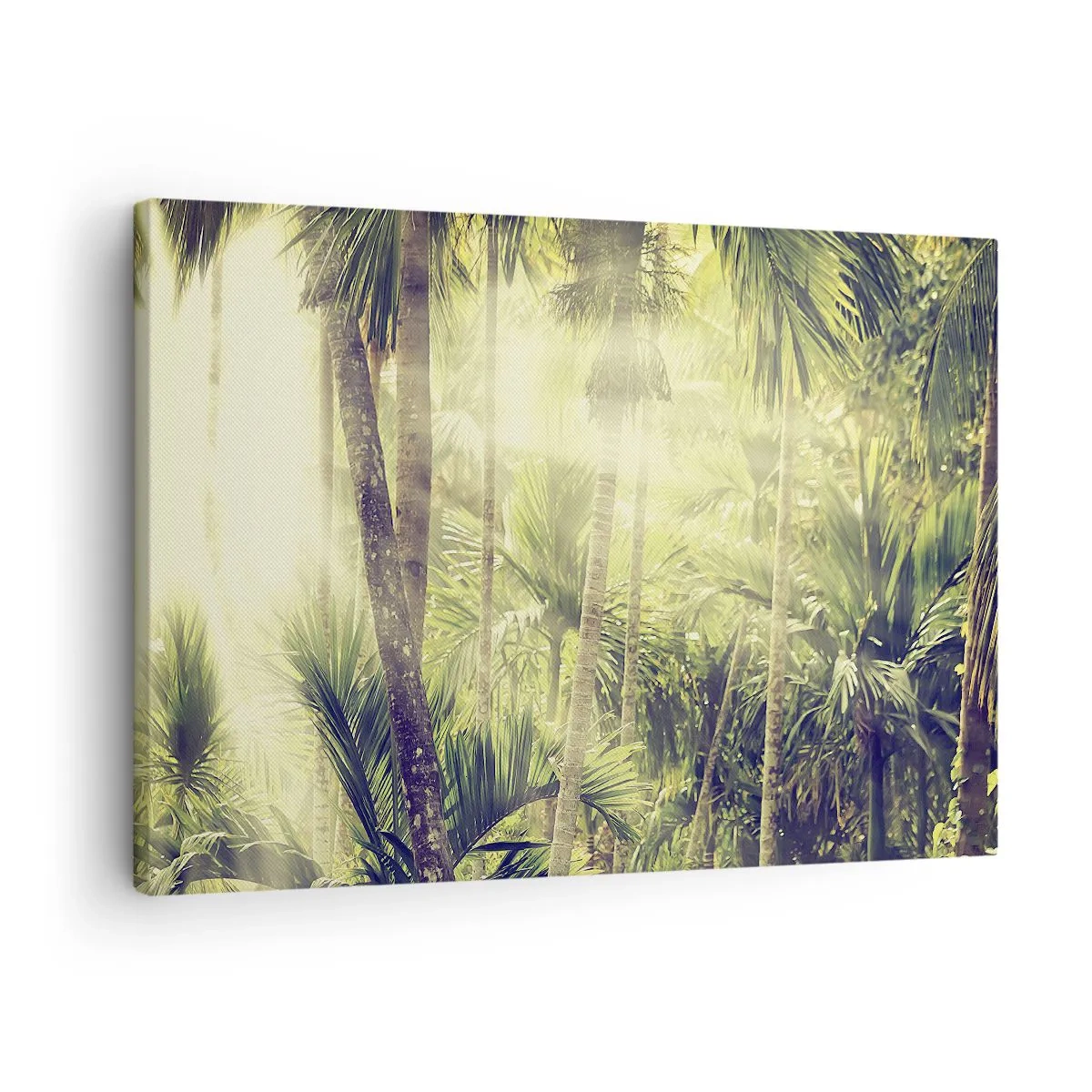 Obraz na plátne - Slnečné lúče v tropickom palmovom lese - 70x50cm - V zelenej žiare - Moderná nástenná dekorácia do obývacej izby a spálne ARTTOR