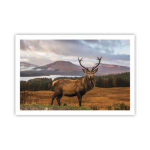 Plagát - Majestát prírody - 91x61 cm