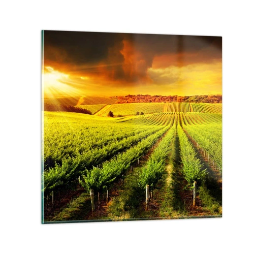 Obraz na skle - Pod austrálskym slnkom - 60x60 cm