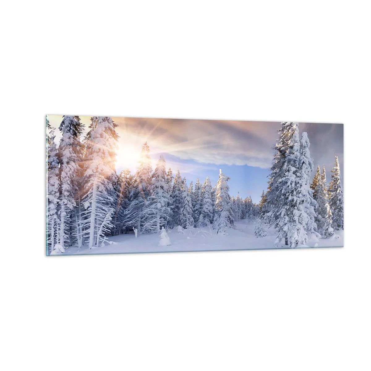 Obraz na skle - Snežné predstavenie prírody - 100x40 cm