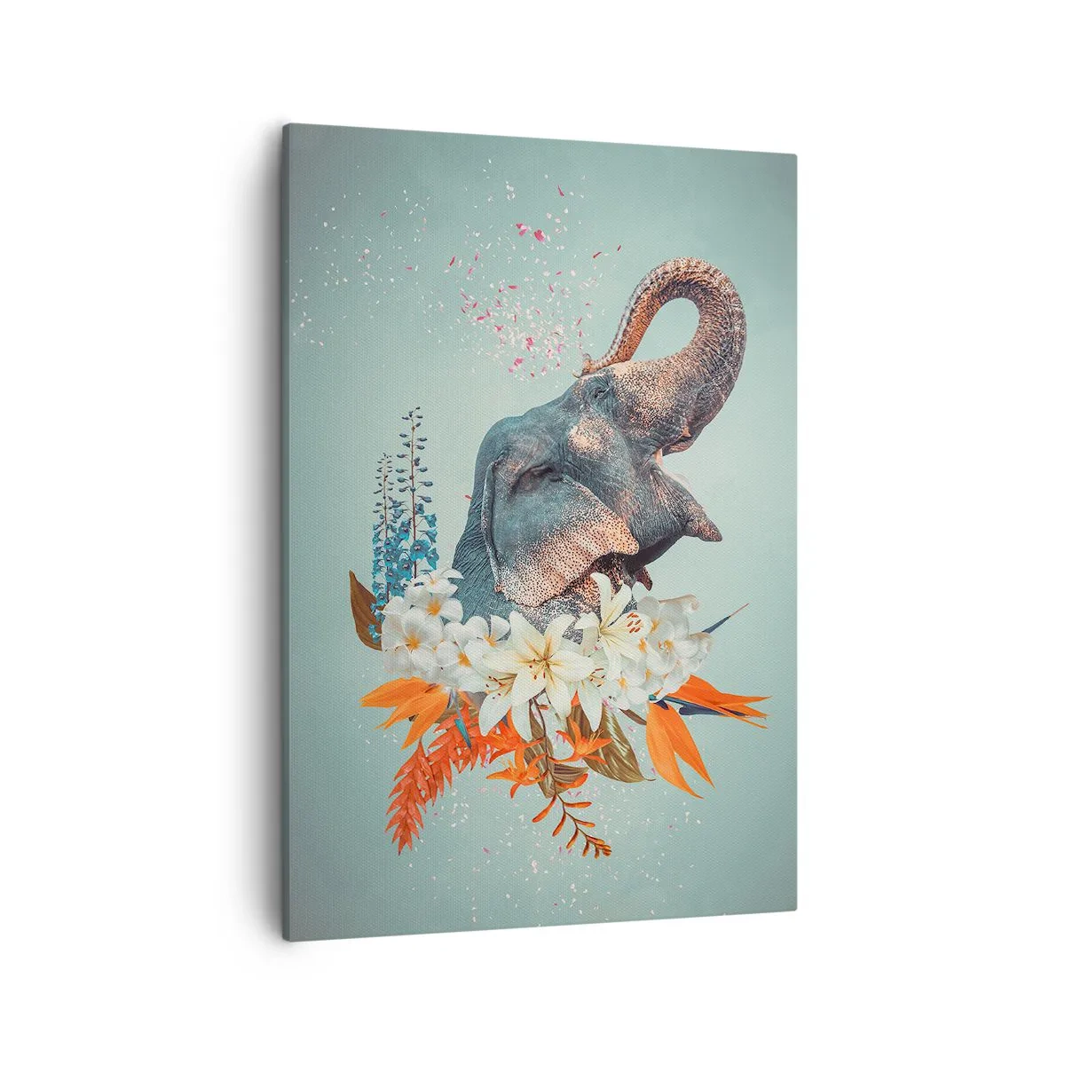 Obraz na plátne - Rev radosti - 50x70 cm