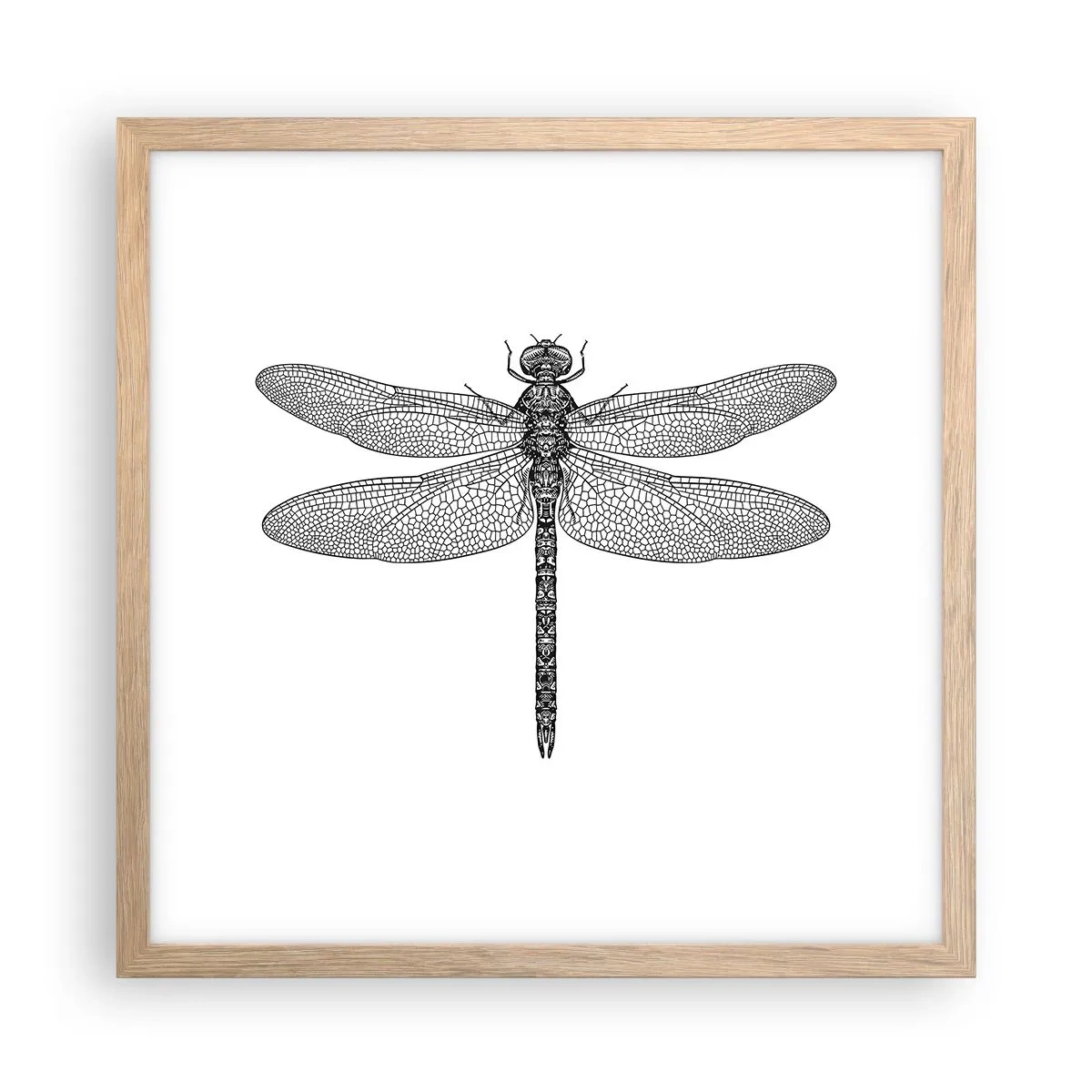 Plagát v ráme zo svetlého duba - Presnosť prírody - 40x40 cm