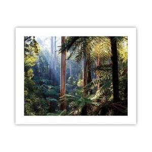 Plagát - Poviedka lesa - 50x40 cm