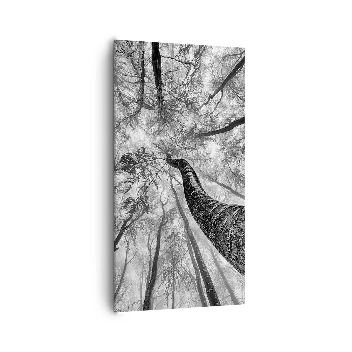 Obraz na plátne - Závod ku svetlu - 65x120 cm