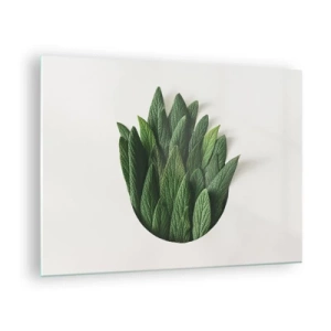 Obraz na skle - Zelené listy usporiadané do tvaru vázy na bielom pozadí - 70x50cm - Neukojiteľná zvedavosť - Moderná nástenná dekorácia do obývacej izby a spálne ARTTOR