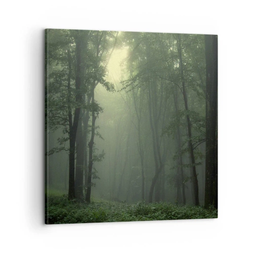 Obraz na plátne - Než sa prebudí - 60x60 cm