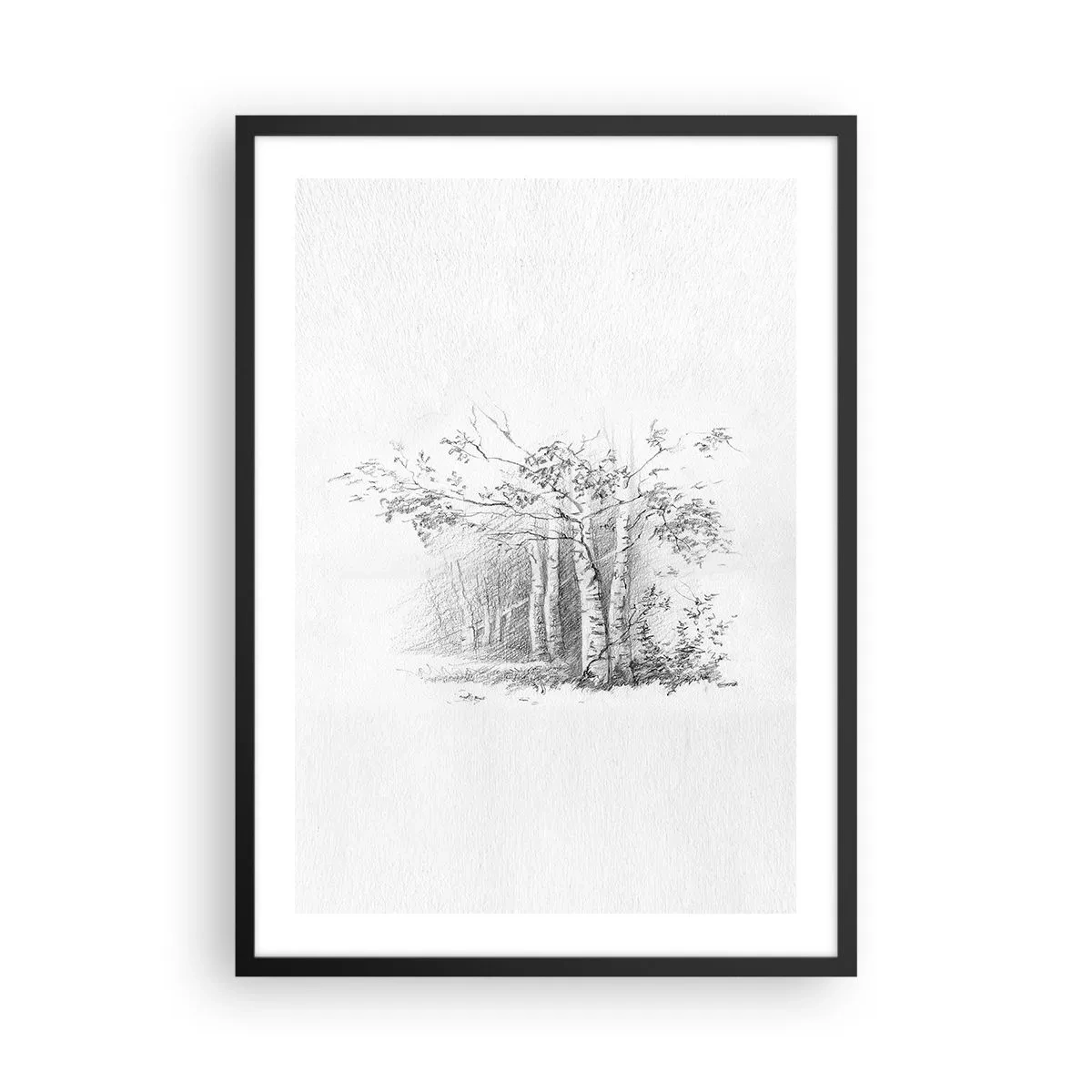 Plagát v čiernom ráme - Náčrt brezového lesa v jemných čiernobielych tónoch. - 50x70cm - Svetlo brezového lesa - Moderná nástenná dekorácia do obývacej izby a spálne ARTTOR