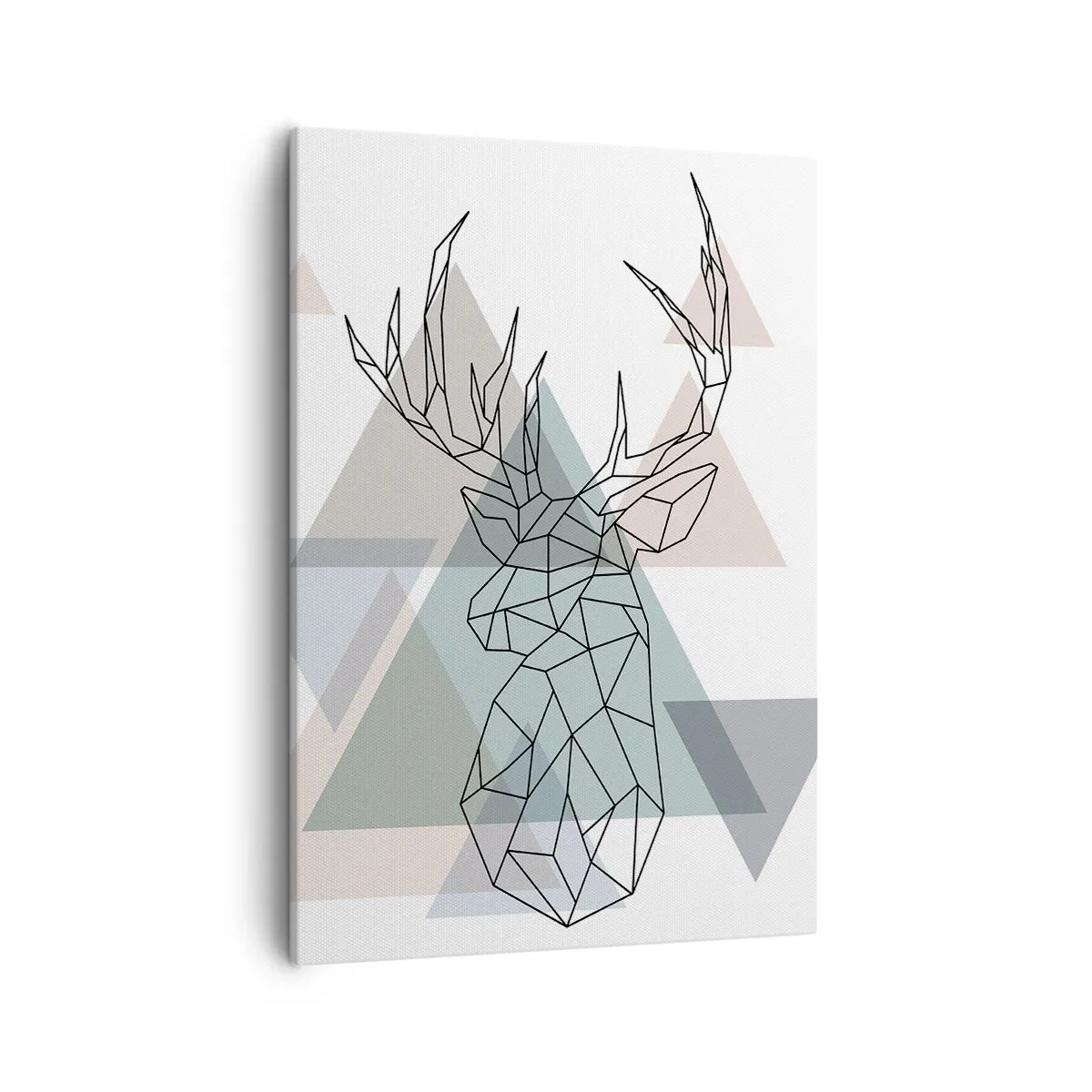 Obraz na plátne - V geometrickom lese - 50x70 cm