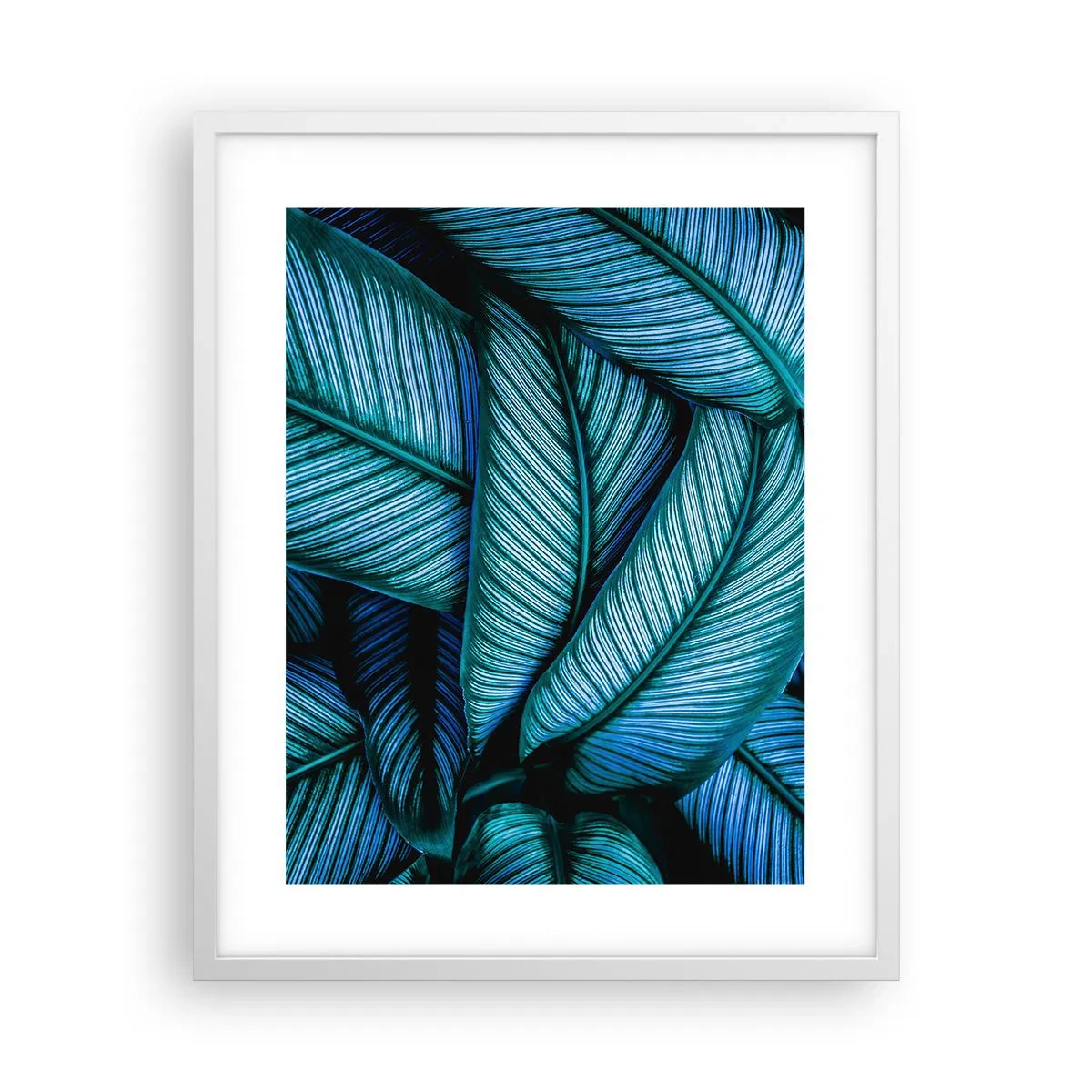 Plagát v bielom ráme - Čiary života - 40x50 cm