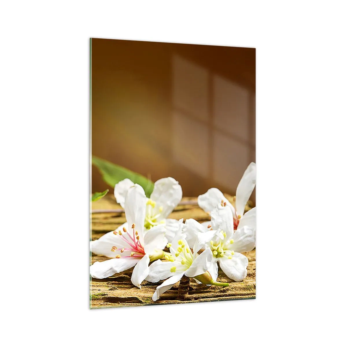 Obraz na skle - Nevinný prísľub - 70x100 cm