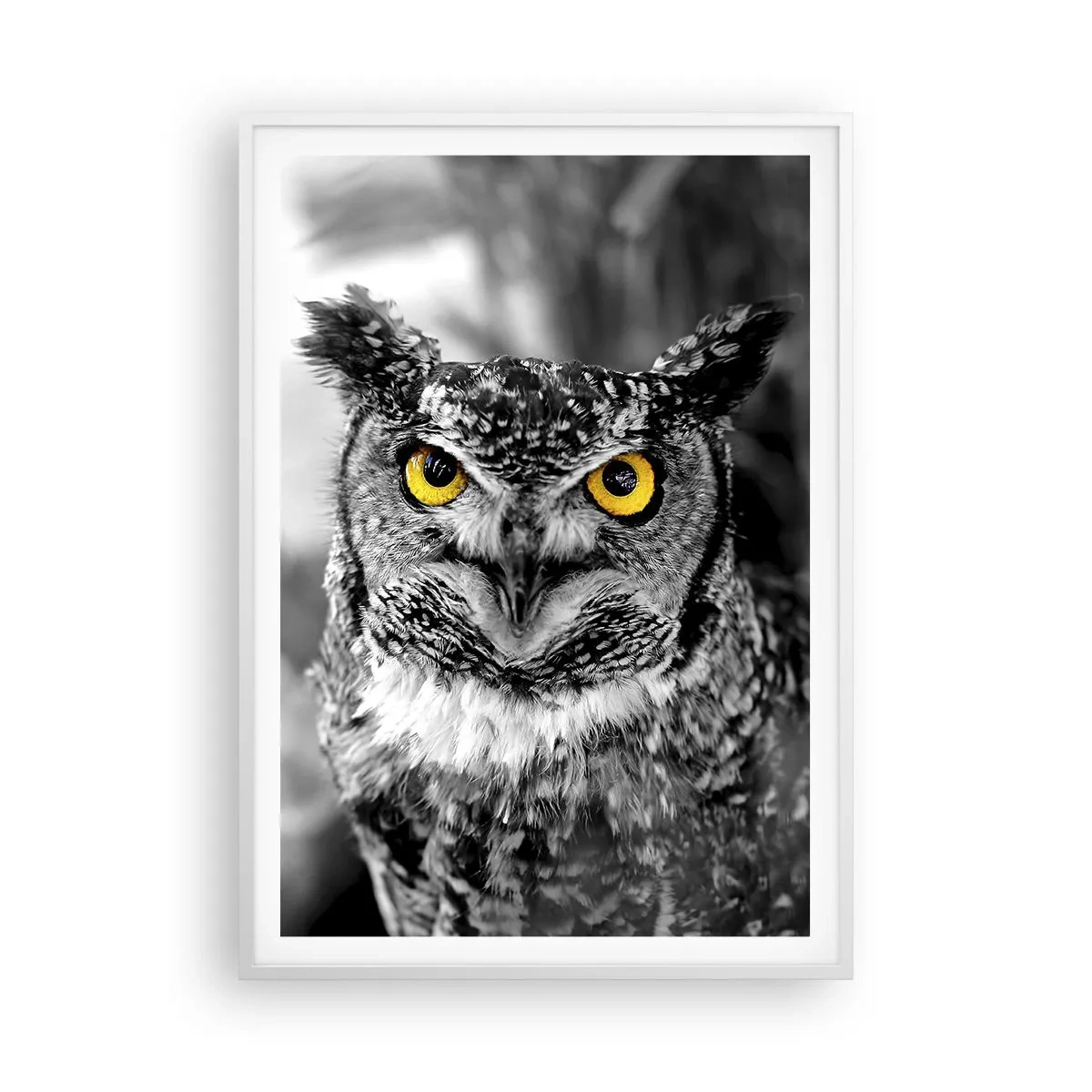 Plagát v bielom ráme - Nič sa neschová - 70x100 cm