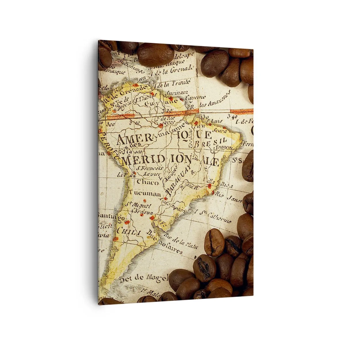 Obraz na plátne - Odkiaľ je najlepšia káva? - 80x120 cm