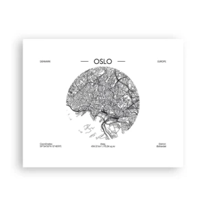Plagát - Anatómia Osla - 50x40 cm