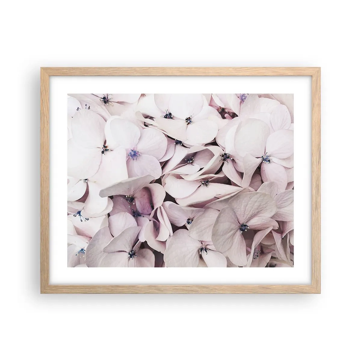 Plagát v ráme zo svetlého duba - V záplave kvetov - 50x40 cm