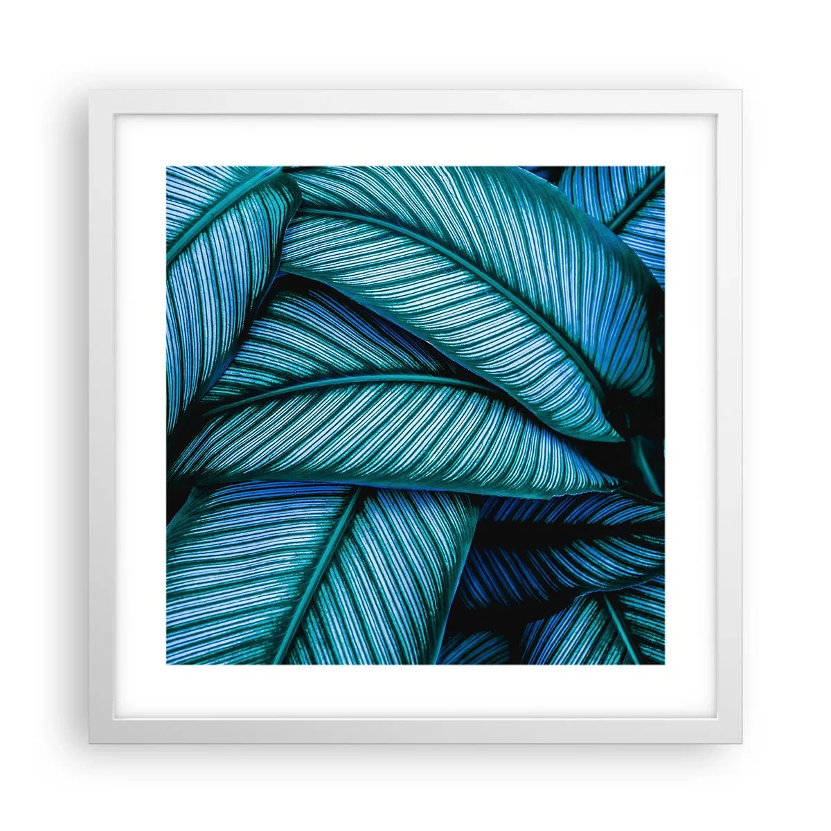 Plagát v bielom ráme - Čiary života - 40x40 cm