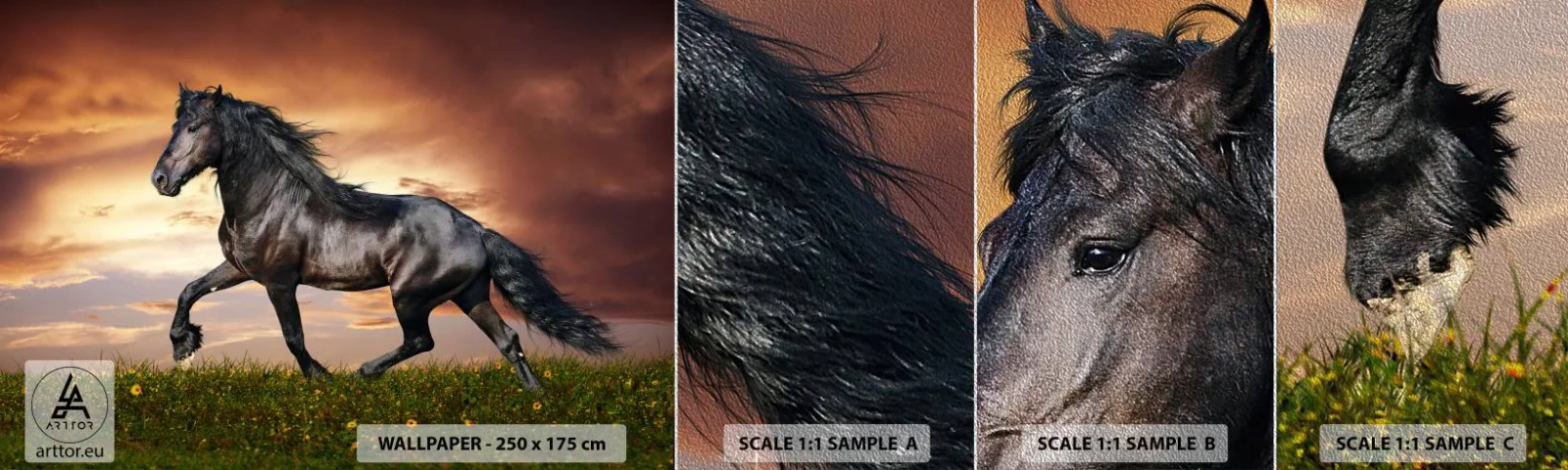 Vzorka fototapety Premium Sand - Čierny knieža - Zvieratá, Arabský kôň, Krajina - 100x30 cm