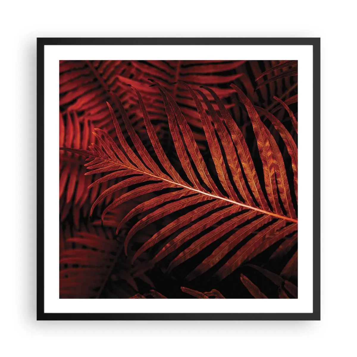 Plagát v čiernom ráme - Žiar života - 60x60 cm