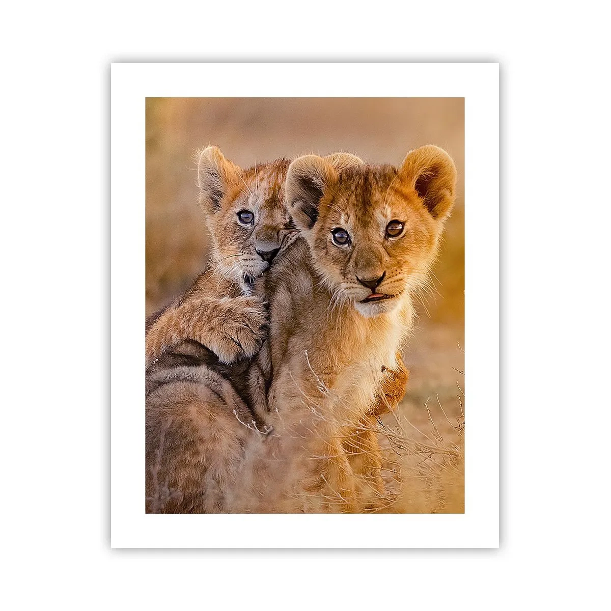 Plagát - Nevyrušovať! Hrajme sa - 40x50 cm