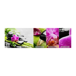 Vzorka fototapety Premium Sand - V pokojnej rovnováhe - Kvety, Orchidea, Orchidea - 100x30 cm