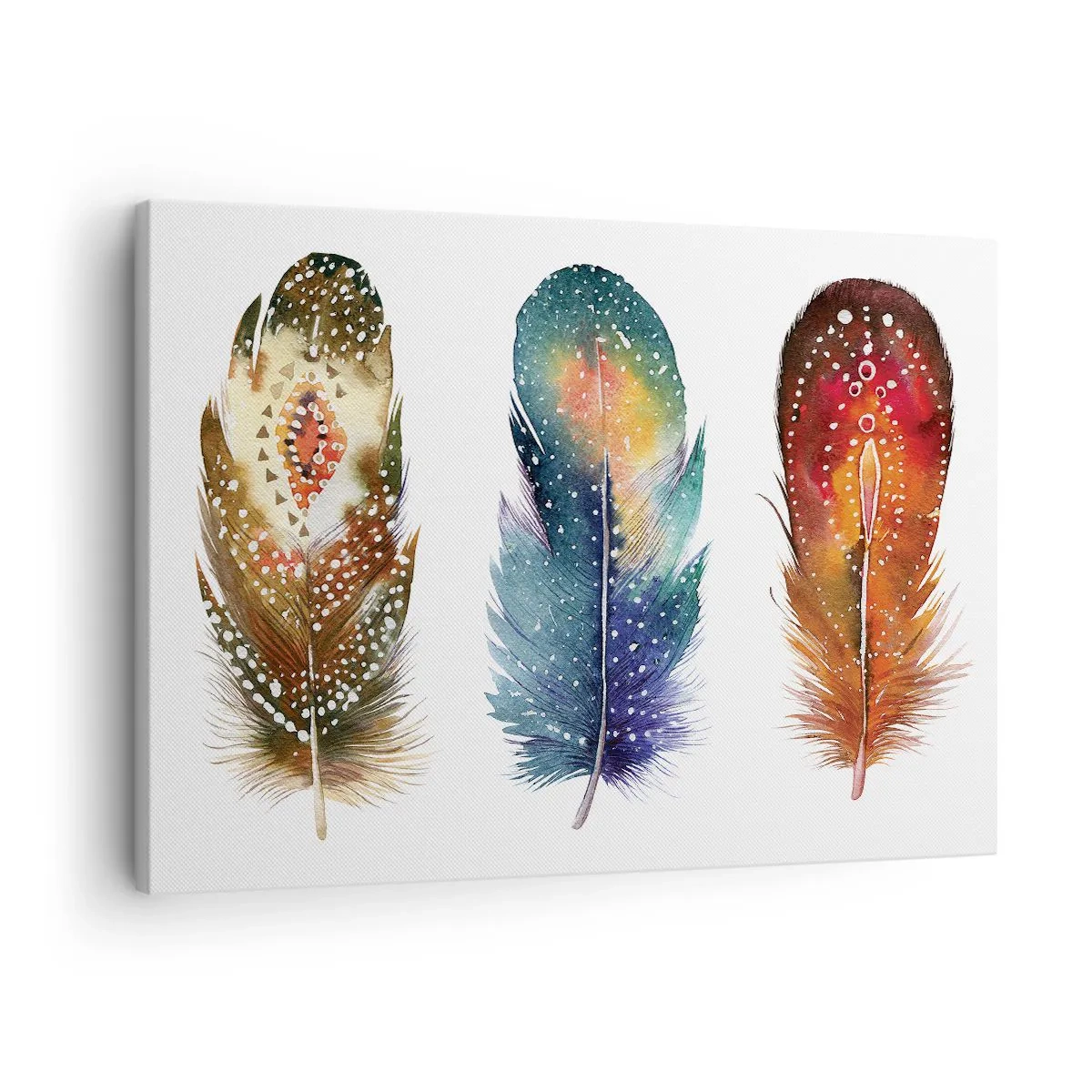 Obraz na plátne - Tri farebné pierka s umeleckými vzormi na svetlom pozadí - 70x50cm - Rituály, obrady, tajomstvá - Moderná nástenná dekorácia do obývacej izby a spálne ARTTOR